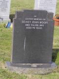 image of grave number 909026